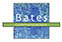 Bates Communications logo design and branding