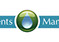 Elements Management logo design and branding