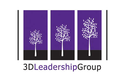 3D Leadership Group logo, branding design