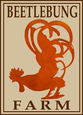 Beetlebung Farm logo, branding design