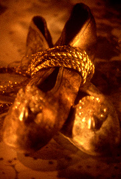 Teleflora, marketing collateral photography