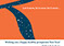 email campaign - The Silk Road Fabrics