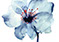 email campaign - The Silk Road Fabrics