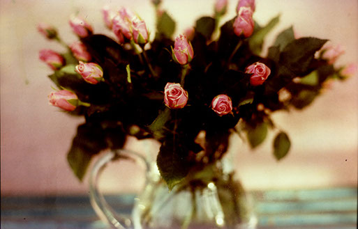 Teleflora, marketing collateral photography